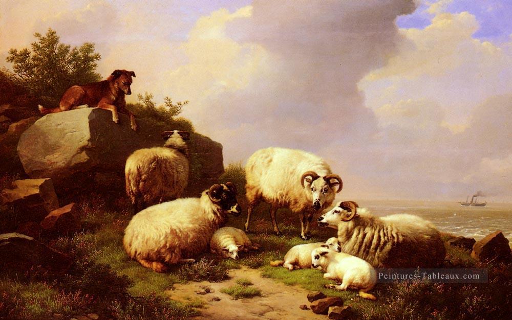 Garder le troupeau par la côte Eugène Verboeckhoven moutons animal Peintures à l'huile